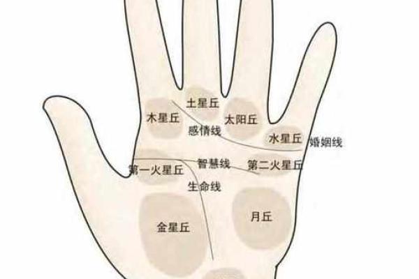 凯帝阿手相算命图解大全03