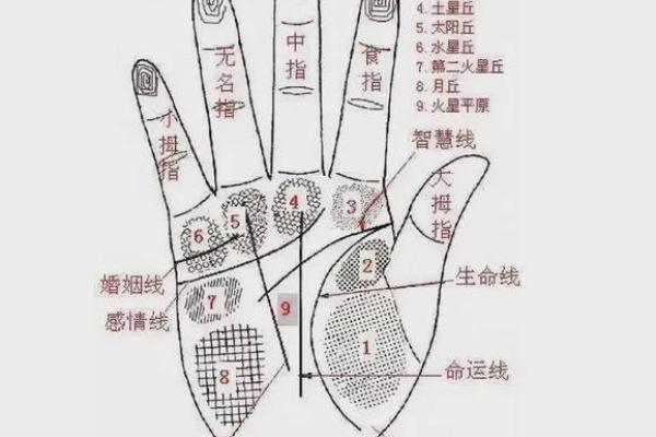 凯帝阿手相算命图解大全03