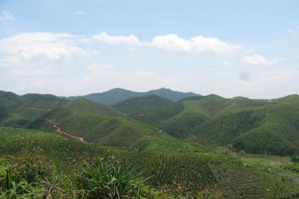 犀牛望月风水宝地