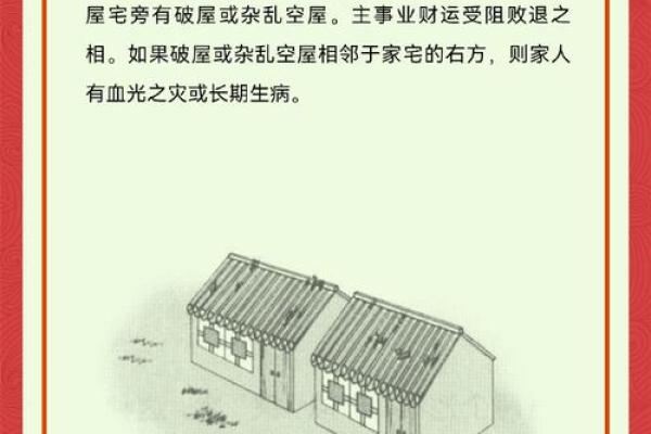 窗户筑巢风水禁忌