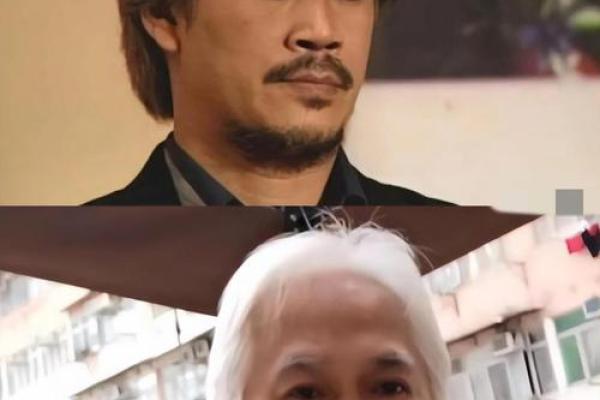 彪哥来算命完整版