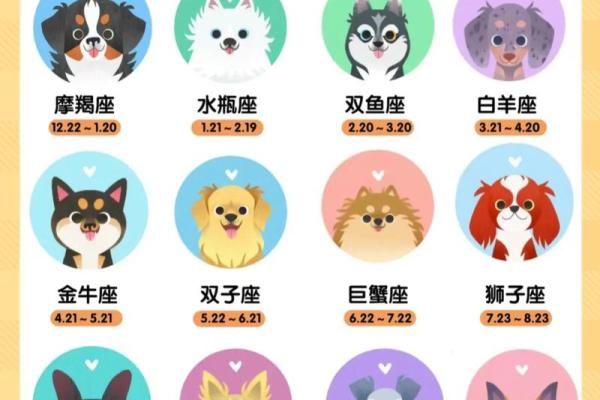 12星座适合的新兴职业