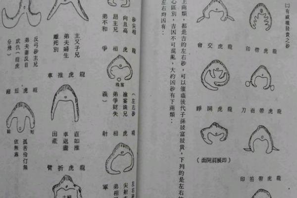 农村阴宅风水知识大全术语 农村阴宅风水知识大全术语