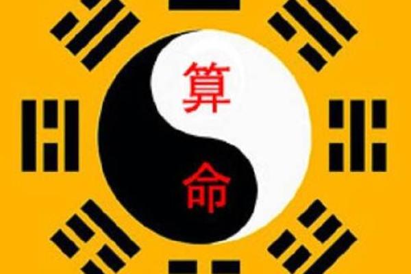 铁板神数免费算命软件 铁板神数免费算命软件