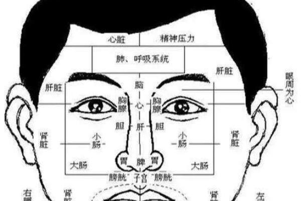 面相算命入门:五行与相貌 面相算命入门:五行与相貌