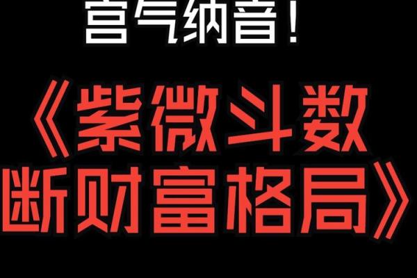 紫薇斗数看财运格局 紫薇斗数看财运格局