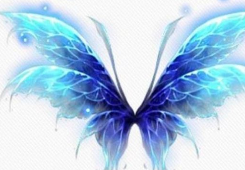 十二星座专属翅膀