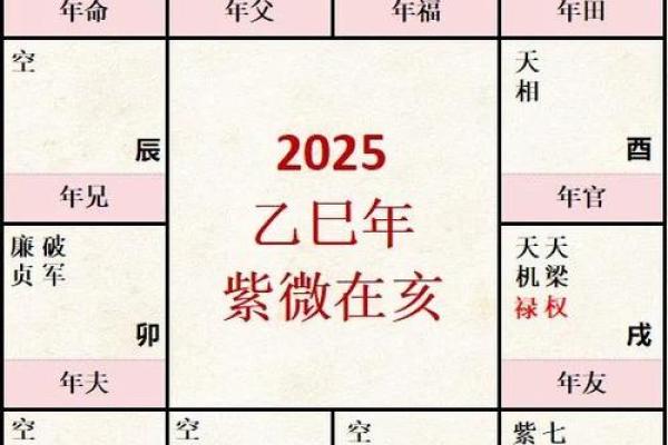 疾厄宫紫薇天相火星