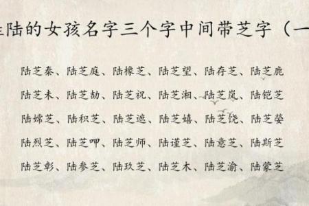 陆姓女孩名字大全-陆姓女孩起名字大全-陆姓名字大全姓名