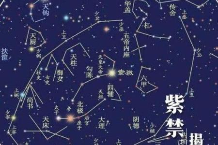 疾厄宫紫薇天相火星