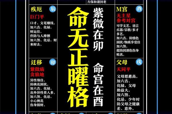 紫微斗数ios 紫微斗数免费排命盘？