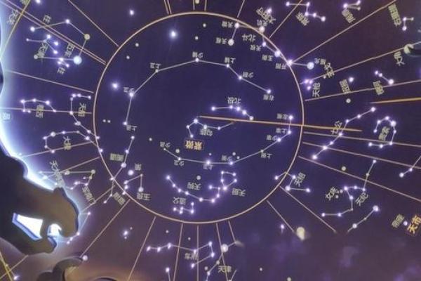 紫微斗数疾厄宫最坏的星曜