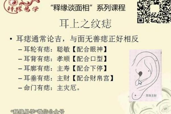 耳朵面相算命