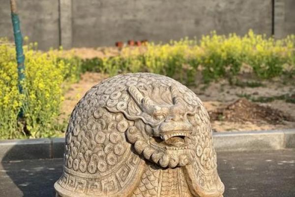 风水摆件龙龟的摆放学问有哪些