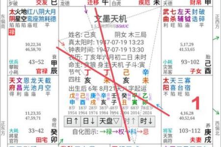 紫薇斗数看未来公公
