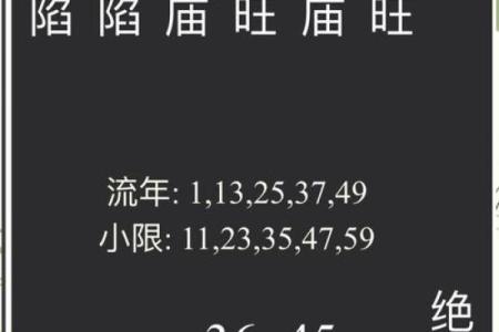 紫微斗数疾厄宫最坏的星曜