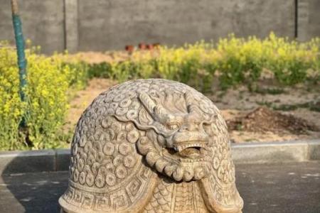 风水摆件龙龟的摆放学问有哪些