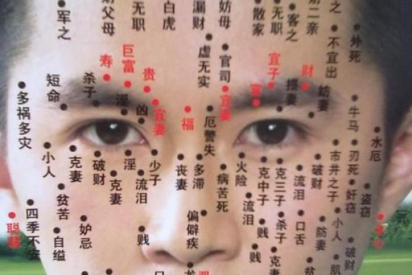 面相算命看法的特征,面相的基本看法 面相算命看法的特征,面相的基本看法