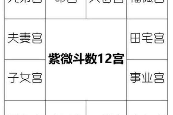 紫薇斗数命宫性格 紫薇斗数命宫性格