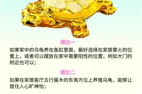 风水乌龟壳的功效与作用