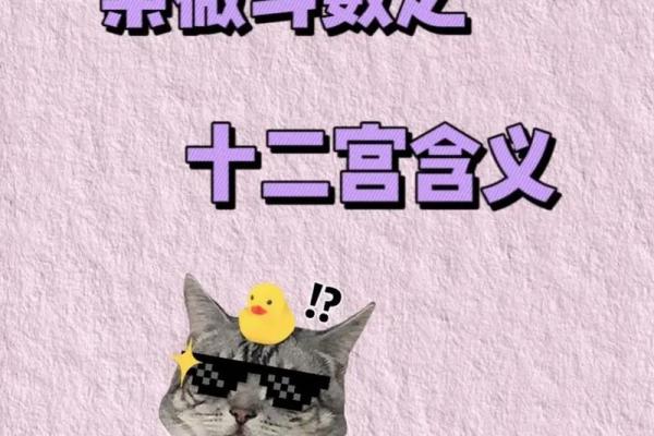 紫薇斗数手机排版