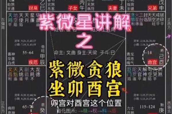 紫微斗数－贪狼星