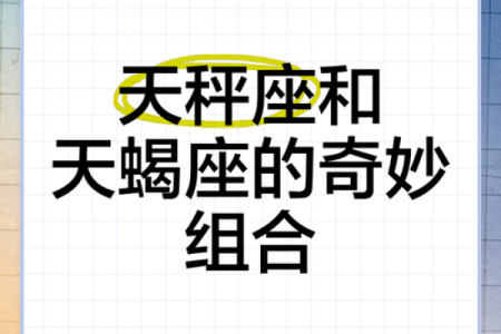 天秤座和哪个星座也是很默契的