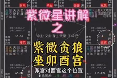 紫微斗数－贪狼星