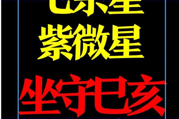 紫薇斗数小土 紫薇斗数小土