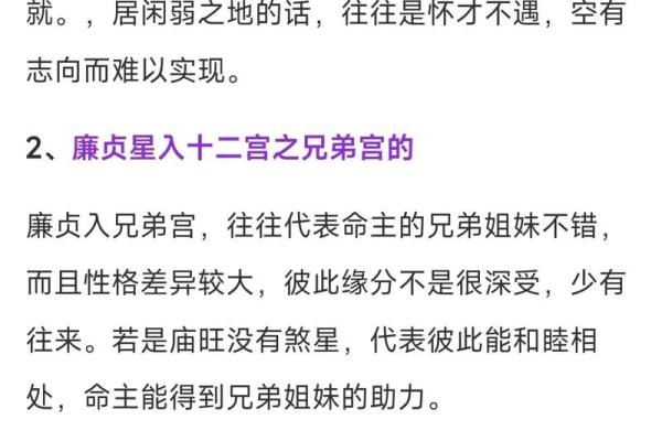 廉贞星坐守官禄宫紫微斗数大成 廉贞星坐守官禄宫紫微斗数大成