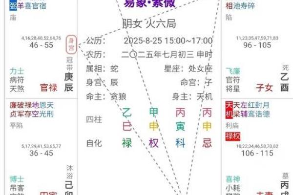 紫微斗数诸星落诸宫之：贪狼星官禄宫详解