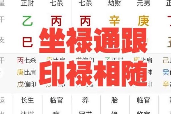 八字中坐 八字中坐