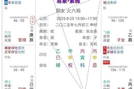 紫微斗数诸星落诸宫之：贪狼星官禄宫详解