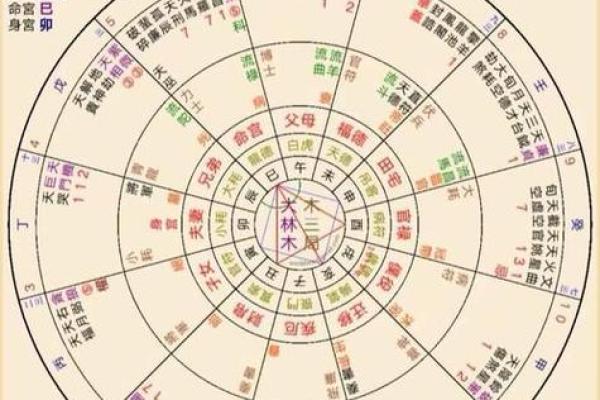 紫微斗数紫薇天府入命宫