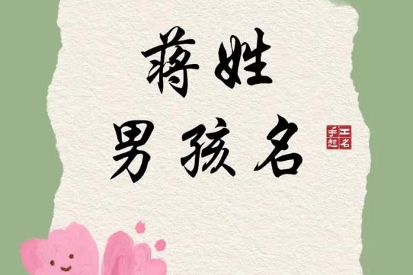 蒋姓男孩名字大全-蒋姓男孩起名字大全-蒋姓名字大全姓名