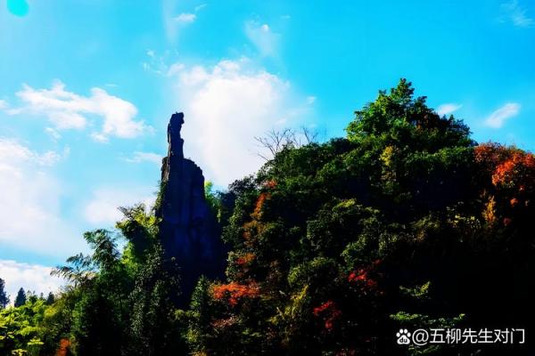 六安算命比较准的地方