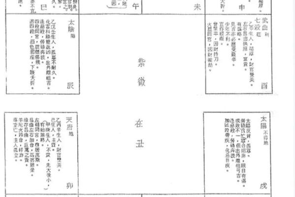 紫薇斗数算命详解