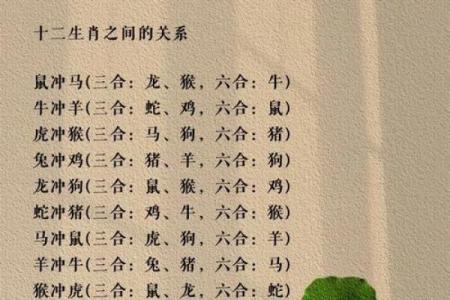 八字十二地支三合六合详细解说