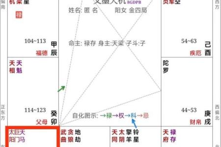 紫薇斗数书籍详解