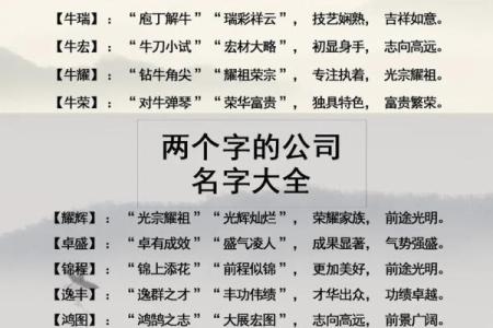 起名字大全免费测试,公司取名字参考大全