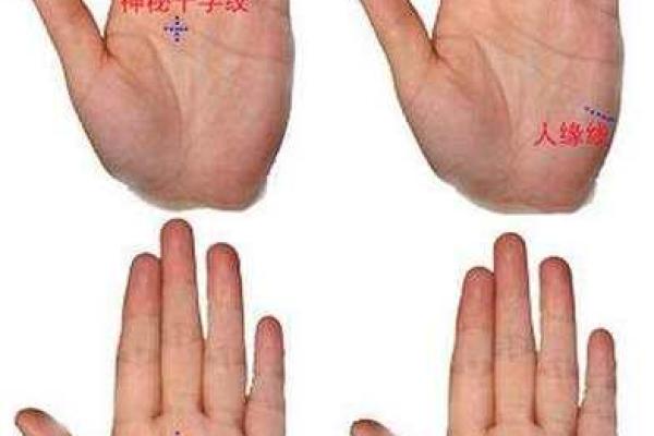 女人脚纹算命图解,脚丑的女人的命运