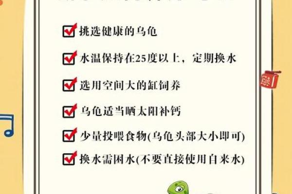 住宅养龟风水禁忌有什么说法作用