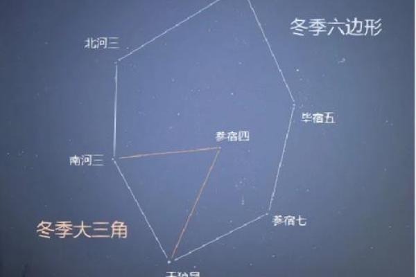 冬天能看到的星座