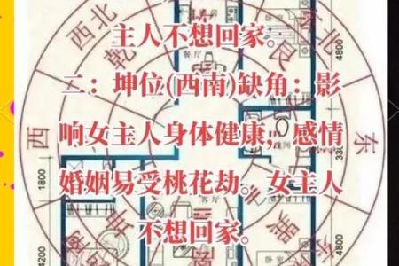 影响婚恋运势的风水，中招了吗