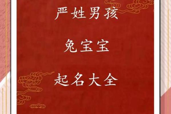 如何给属兔子时出生的男孩取名字姓名