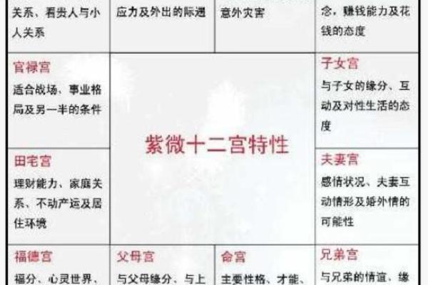 紫微斗数置闰 紫微斗数术语？