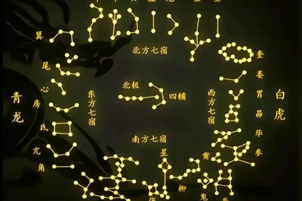 紫薇斗数命宫紫薇星