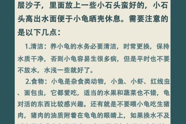 风水化煞龟选哪种如何选择适合自己的？