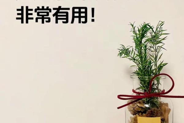 怎样凭借风水来增加自己的财运 怎样凭借风水来增加自己的财运