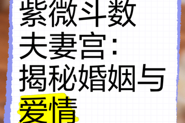 紫薇斗数婚姻墓